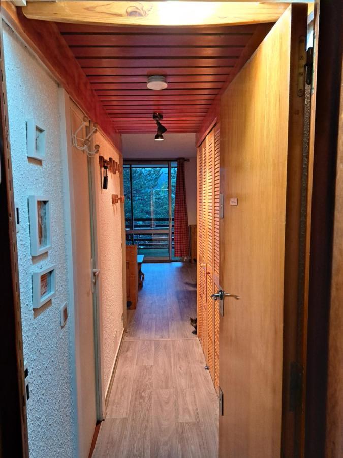 Appartement Montagnard Serre-Chevalier. Saint-Chaffrey Zewnętrze zdjęcie